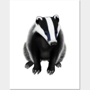 Cute Badger Drawing Posters and Art